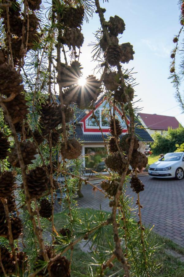 Ferienhaus Goermer Mit Wasserbett Schmolln  Экстерьер фото